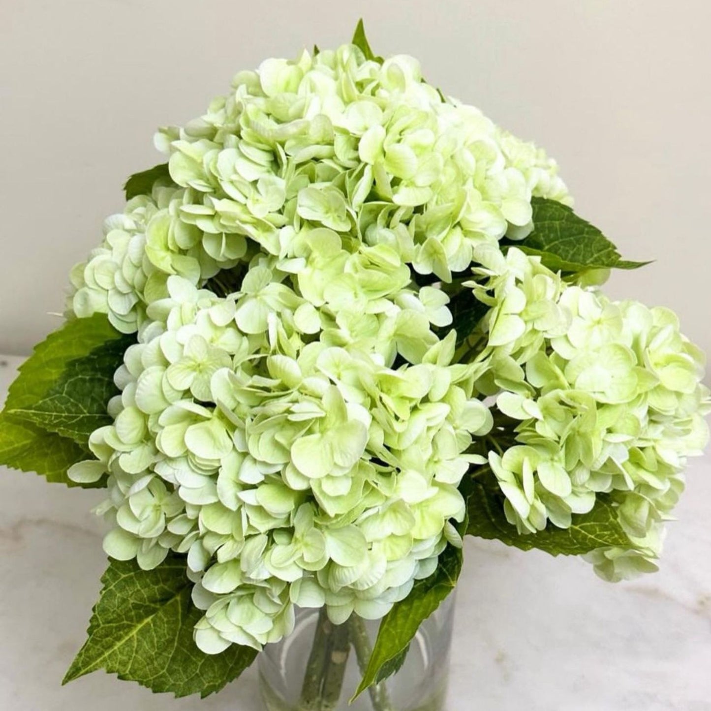 ARTIFICIAL HYDRANGEA IN SLIM GLASS VASE