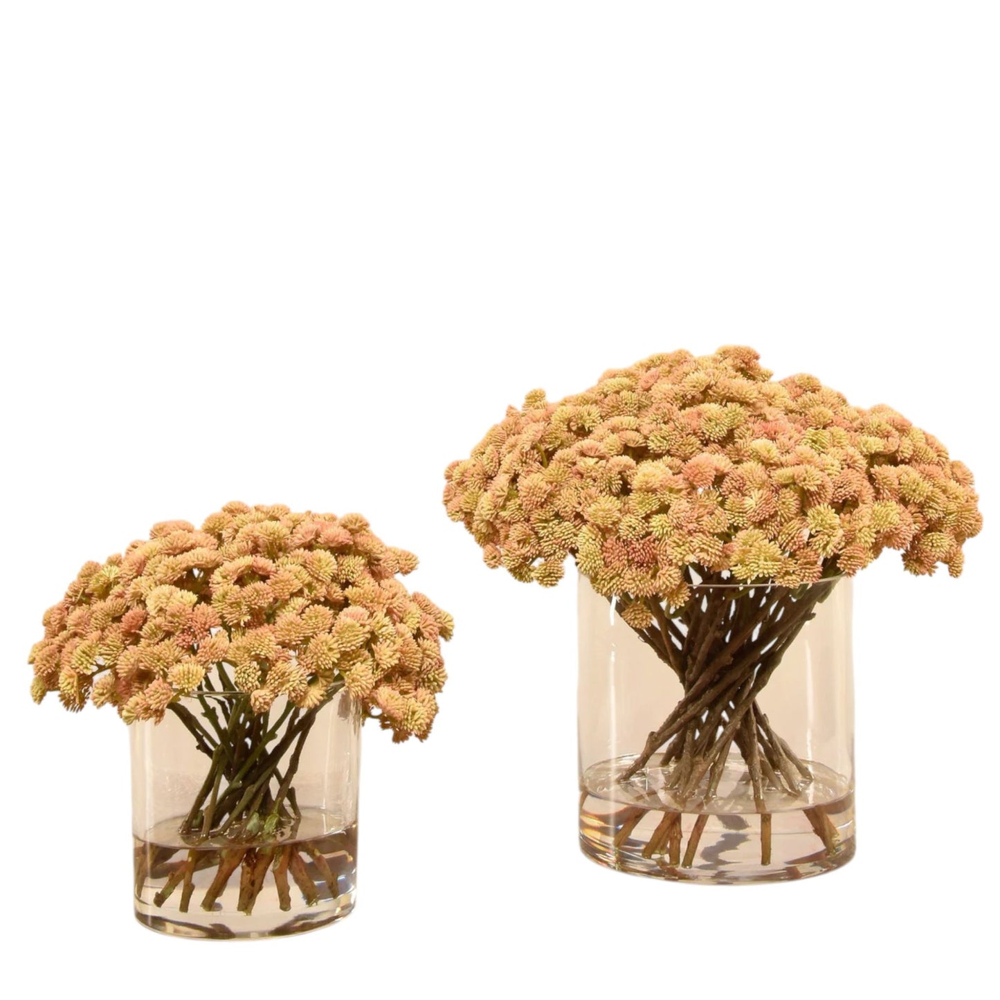ARTIFICIAL SEDUM ARRANGEMENT IN GLASS VASE